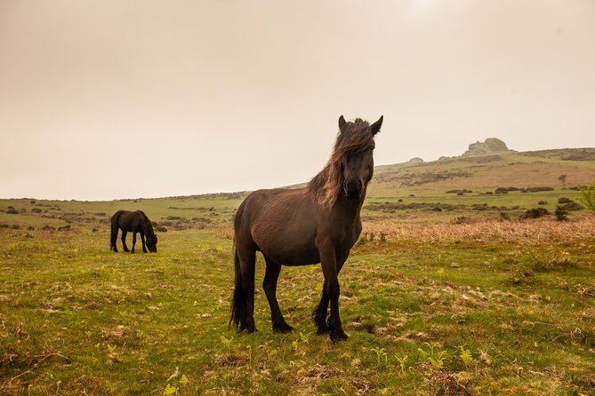 5-Day Devon and Cornwall Small-Group Tour from London - What this Devon and Cornwall tour really offers