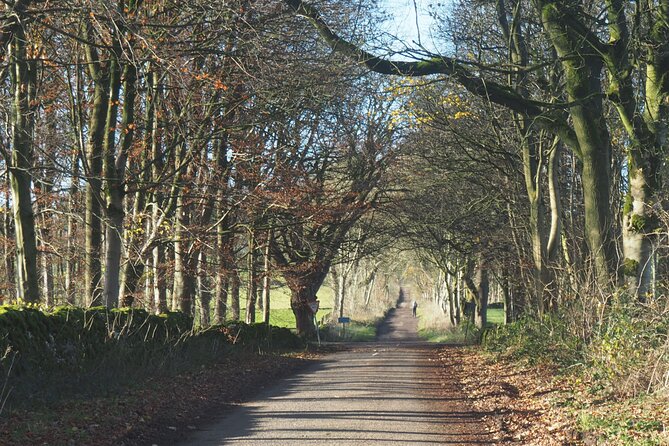 6hr Small Group Peak District eBike Tour - Great Longstone and the downhill approach