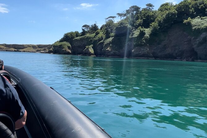 90 Minute Coastal Explorer in Torquay - Berry Head and the search for dolphins