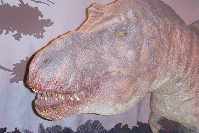 A Day at the Museum - Natural History Museum London - Who should book this private visit?