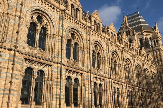 A Day at the Museum - Natural History Museum London - Beyond dinosaurs: whales, fossils, minerals, and insects