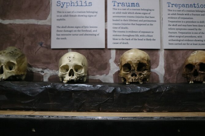 Admission Ticket to Sick To Death in Chester - How frightening and graphic is it?
