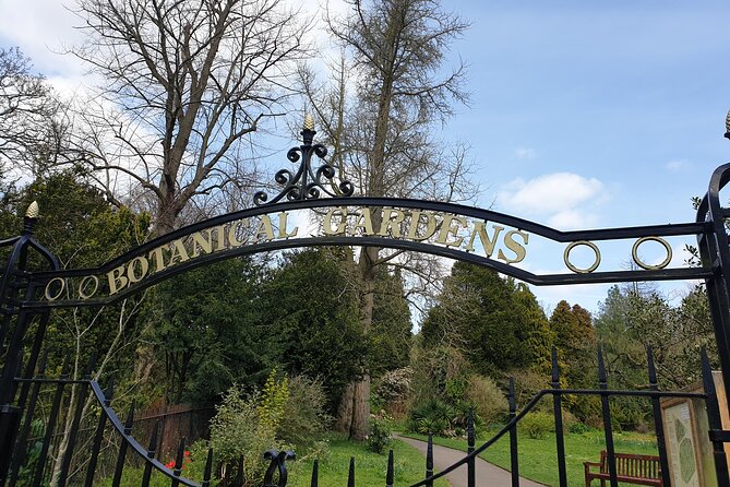 Bath - (4 hours) Extended Walking Tour - Blue Badge guide - Royal Victoria Park and the wider view of Bath