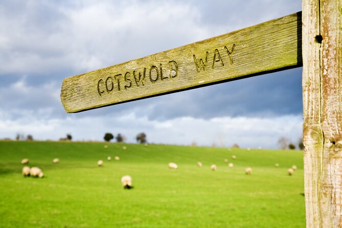 Bath and Cotswolds Guided Tour from London - Bath and the Roman Baths: the day’s strongest stop