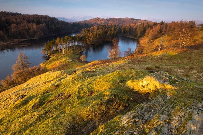 Beatrix Potter's Half Day Lake District Tour Including Lake Cruise - Tarn Hows, a short stop with a long view