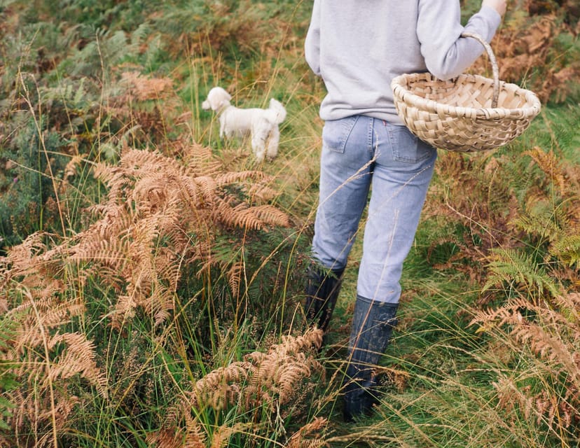Beginner Foraging Walk: Wild food walking tour & tasters - Key points to know before you book