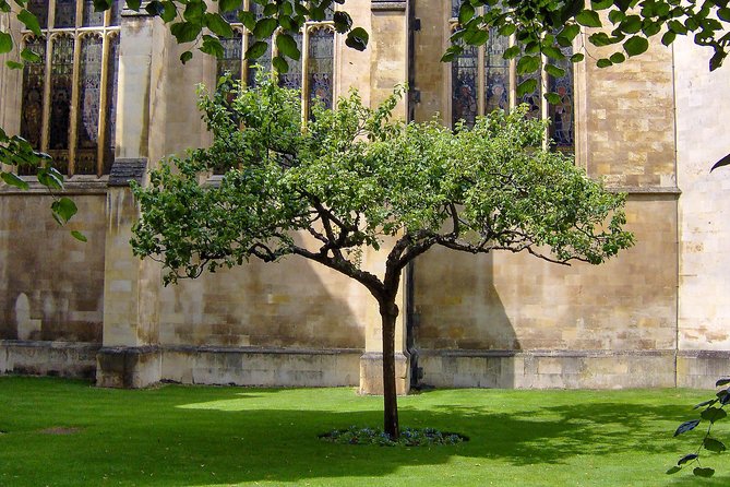 Cambridge University Walking Tour - Older churches and Cambridge’s scientific past