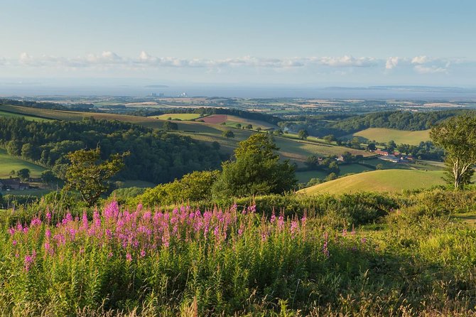 Canterbury & the White Cliffs of Dover Tour (Small-Group) - The guides make or break the day