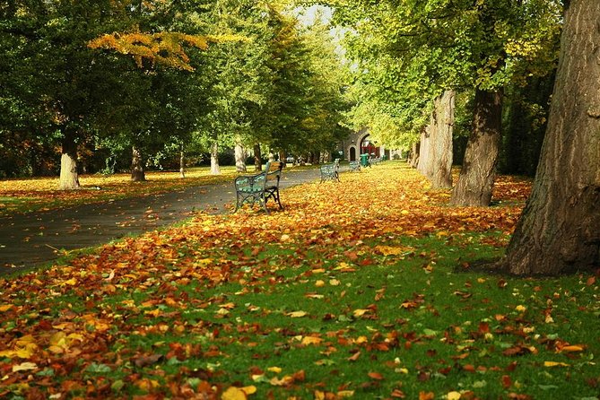 Cardiff Day Tour from London with Local Guide (Visit Wales) - Is $136.37 good value?