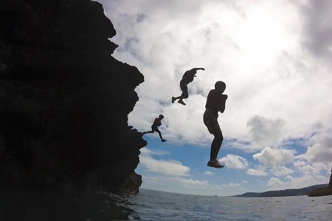 Coasteering Geopark Adventure In Torquay - Wildlife in the water