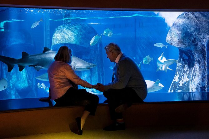 Combo Ticket: Madame Tussauds & SEA LIFE London Aquarium - Madame Tussauds: three floors of famous faces