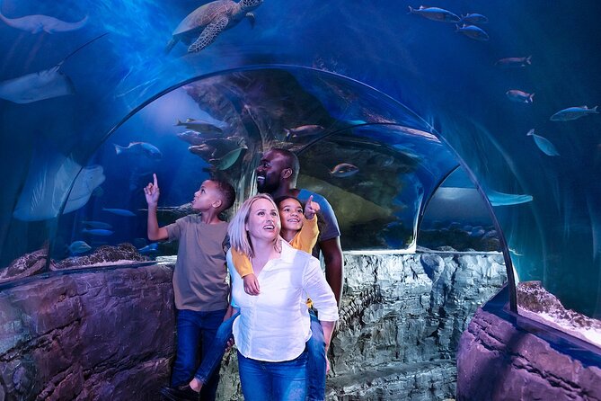 Combo Ticket: Madame Tussauds & SEA LIFE London Aquarium - From celebrity rooms to Polar Adventure