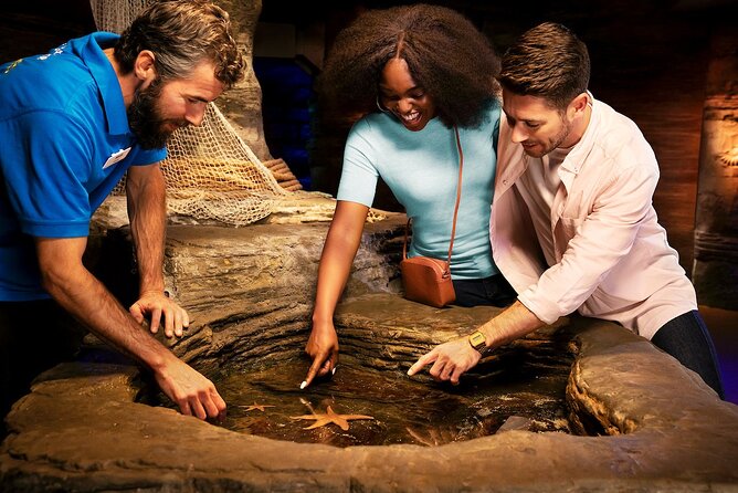 Combo Ticket: Madame Tussauds & SEA LIFE London Aquarium - Who will enjoy this ticket most