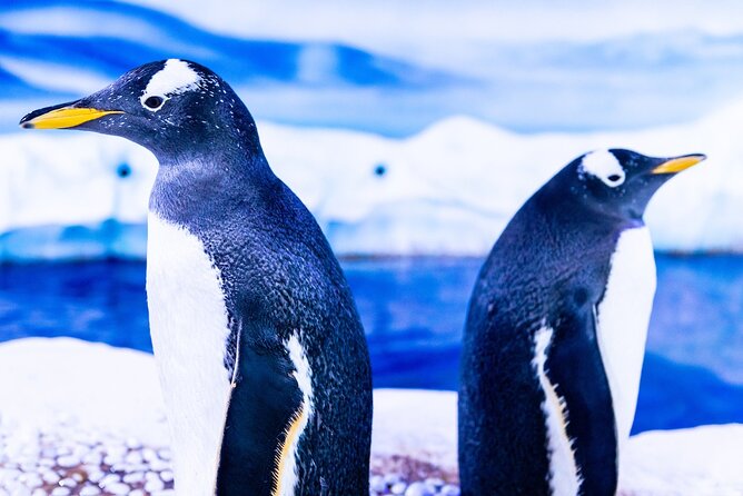 Combo Ticket: Madame Tussauds & SEA LIFE London Aquarium - The fashion runway adds a bit of action