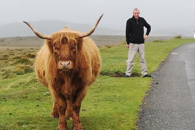 Dartmoor Tour - Pickup areas, weather, and practical planning