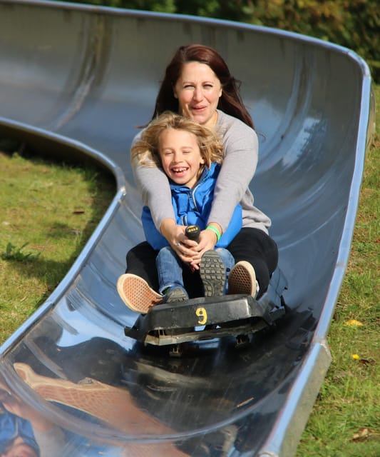 Devon: Watermouth Castle Entry - A practical day for mixed-age families