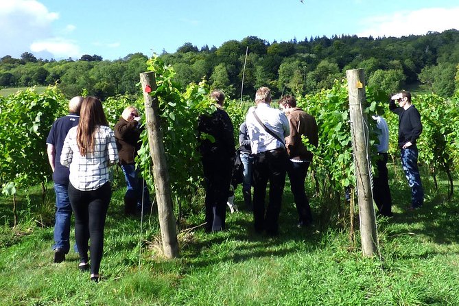 English Wine and Cheese Tour from London - A picnic lunch with English wine