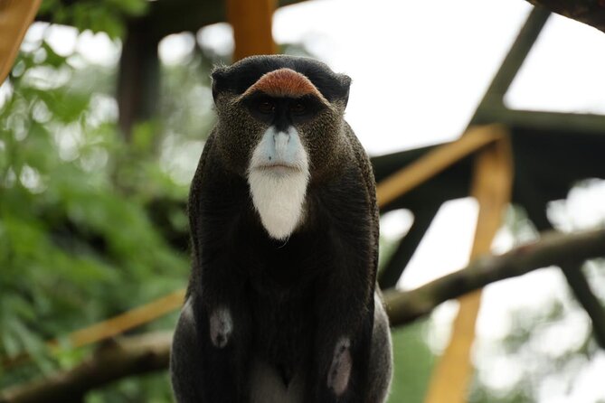 Entry ticket to Hoo Zoo and Dinosaur World in Telford - Who will enjoy this experience most?