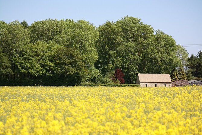 Explore the Cotswolds (Private Day Tour from London) - Bladon and Woodstock: Churchill’s quiet resting place