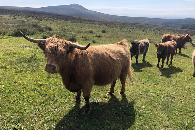 Full day Private Tour of the Isle of Man with experienced qualified driver guide - Ramsey and the northern part of the island
