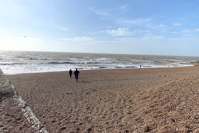 Fully Guided History Tour of The City of Brighton - Brighton i360 for a high view of the city