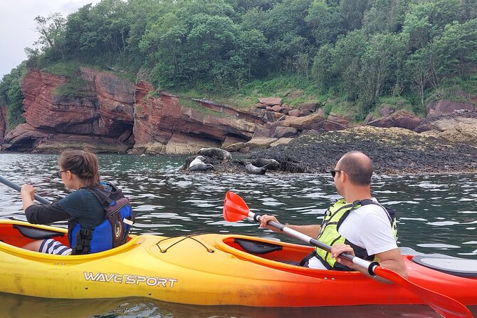 Guided Wildlife and Sea Cave Kayak Safari in English Riviera - The beach campfire and Devonian fossils