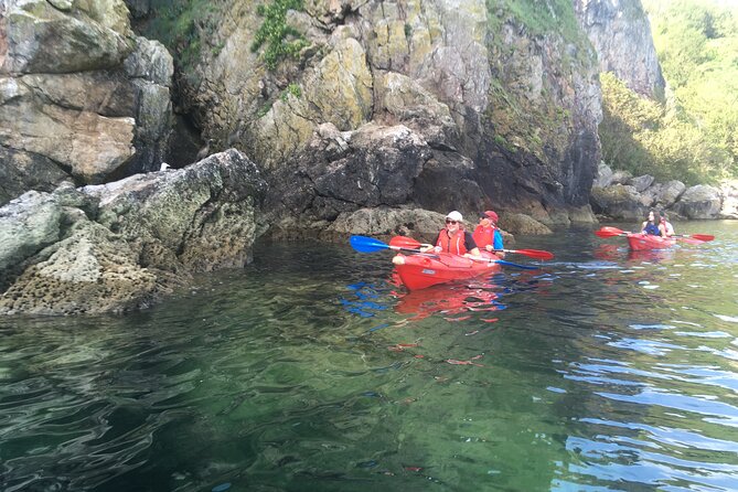 Guided Wildlife and Sea Cave Kayak Safari in English Riviera - Who should book this Devon kayak safari?