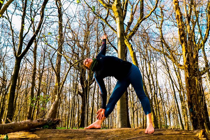 Half-day Forest Bathing and Yoga in Brighton's Woodlands - Is $47.96 good value?