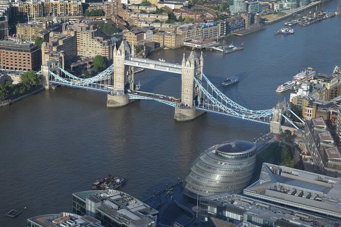 Half-day Private Tour in London - Private transportation and the vehicle question