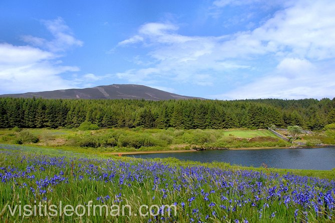 Half day private tours of the Isle of Man with a qualified Driver Guide - Is $329.09 good value for your group?