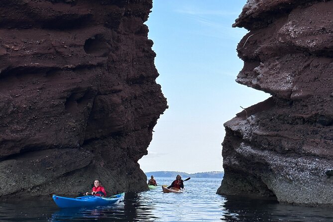 Half Day Sea kayak Guided Tour - Who will enjoy this Teignmouth outing?