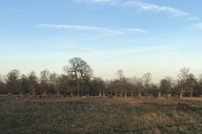 Hampton Court Palace Grounds Bike Tour - Why cycling is a smart way to see Hampton Court