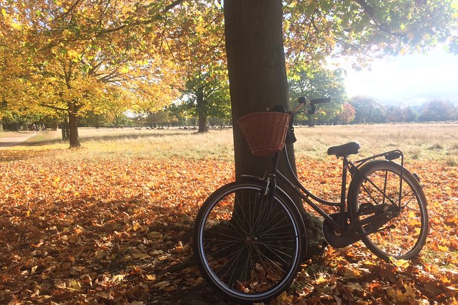 Hampton Court Palace Grounds Bike Tour - Who will enjoy this ride most
