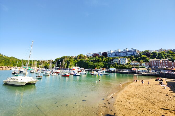 Ilfracombe Seafront History Walking Guided Tour - Value, booking terms, and practical limits