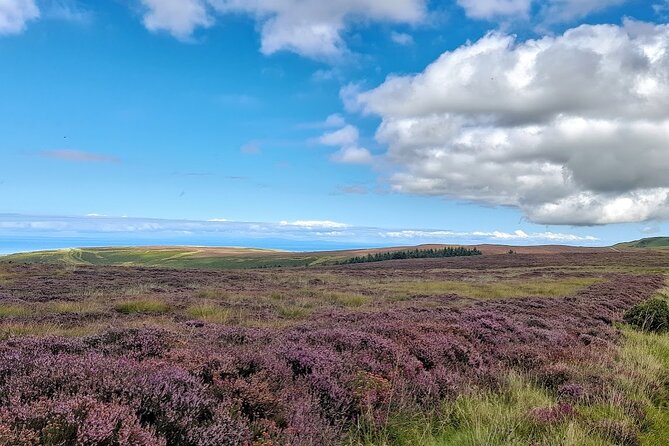 Isle of Man Discovery Tour with experienced Driver Guide - Why this Isle of Man day tour works
