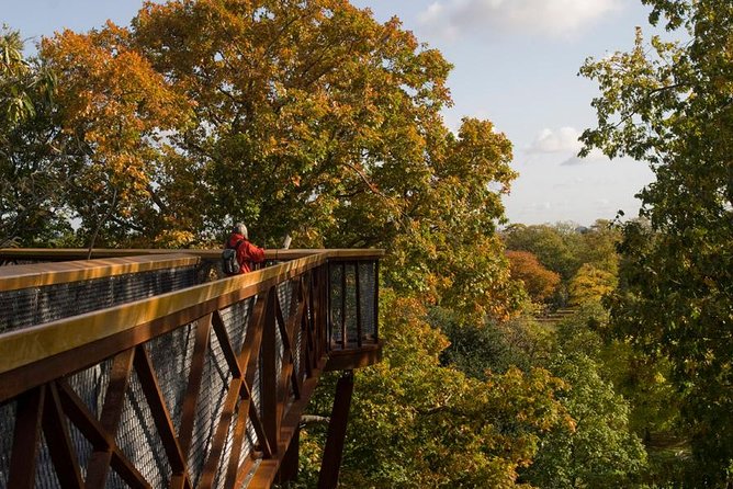 Kew Gardens Entrance Ticket - Why Kew Gardens deserves a place in your London plans