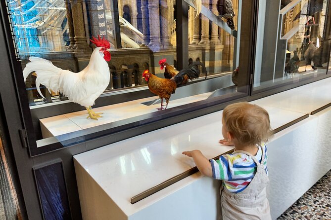 Kid-Friendly Natural History Museum & Dinosaurs Private Guided Tour in London - A Pace That Can Change With Your Children