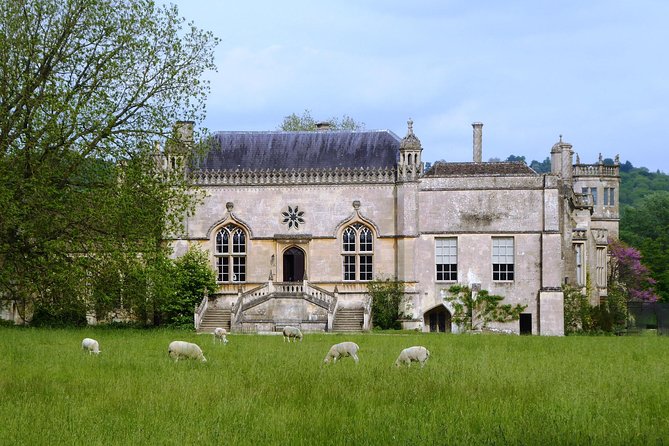 Lacock and Castle Combe - Afternoon Private Tour - The cream tea is more than a quick refreshment