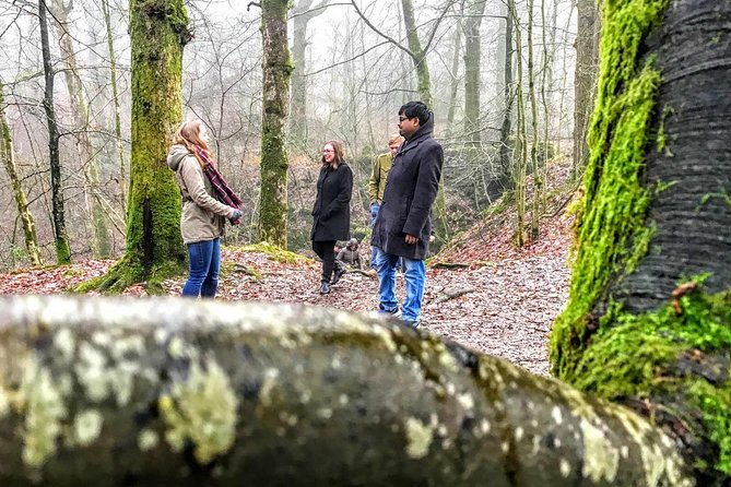 Lake District Adventure Sightseeing Day Trip from Liverpool - Is the $81.95 price good value?
