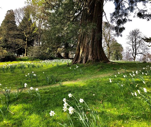 Lake District from Liverpool including Lake Cruise - Hawkshead, Stone Lanes, and Local Stories