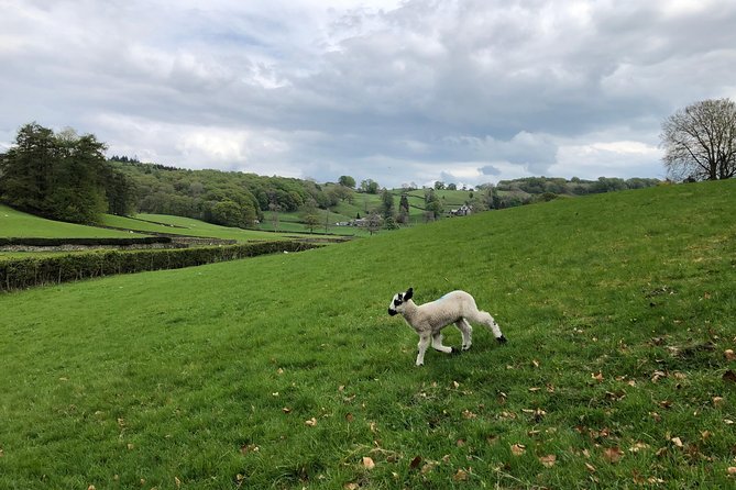 Lake District from Liverpool including Lake Cruise - Comfort, Group Size, and Timing