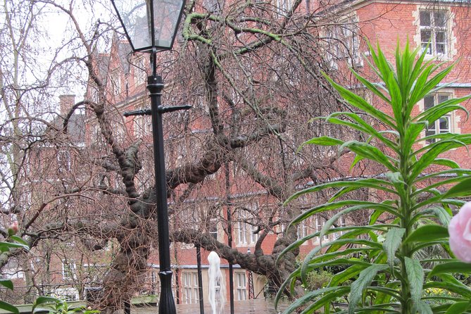 Law in London Private Tour - Timing, meeting point, and walking demands