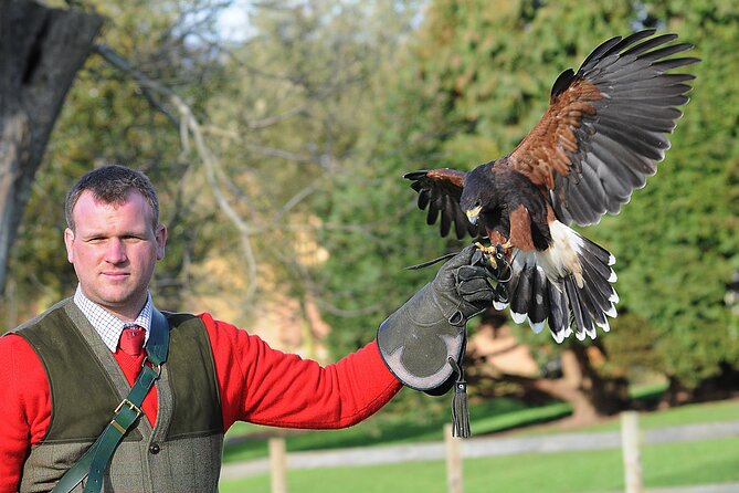 Leeds Castle Admission - Ultimate Explorer Tickets - A former royal palace with room to roam