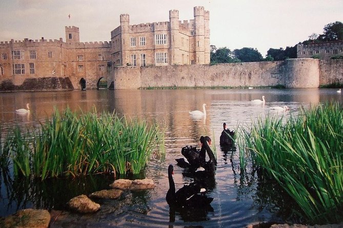Leeds Castle, Canterbury and White Cliffs of Dover - Driver Guide - What your driver-guide adds to the experience