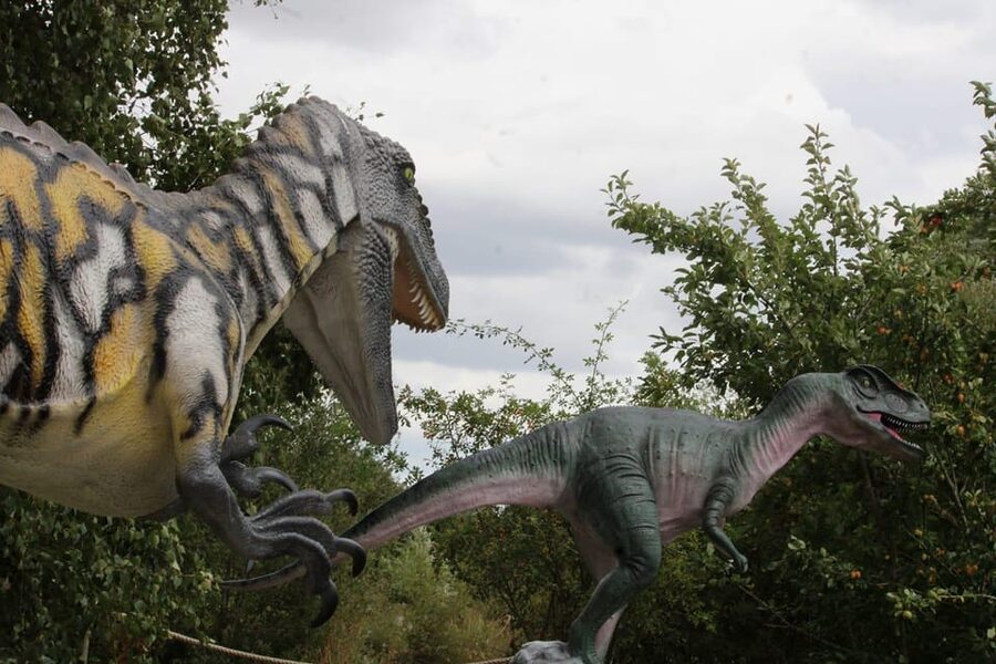 Lincolnshire: ARK Wildlife and Dinosaur Park Entry Ticket - Jurassic Ark turns the visit prehistoric