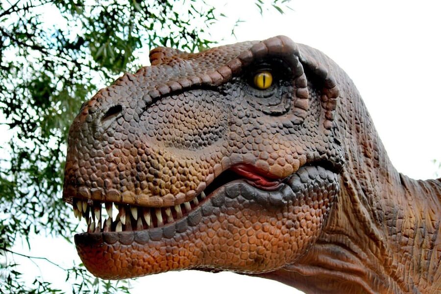 Lincolnshire: ARK Wildlife and Dinosaur Park Entry Ticket - What the $18 ticket really covers