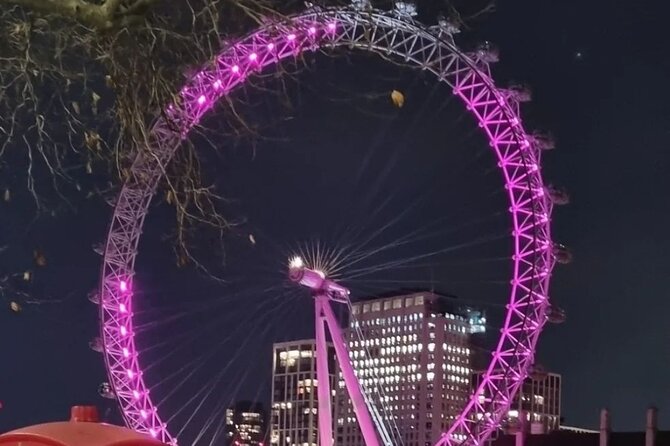 London Christmas Lights Private Guided Taxi Tour - Why a private taxi works well for London lights