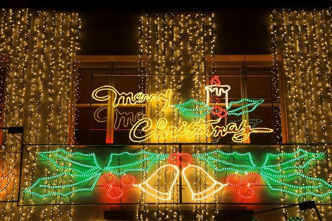 London Christmas Lights Private Tour by Traditional Black Cab - Famous landmarks along the festive route