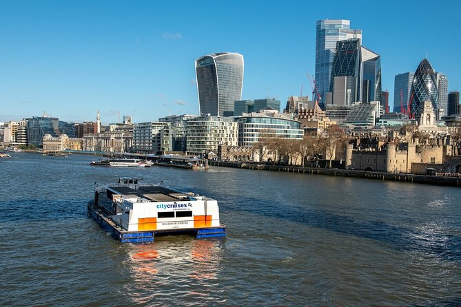 London: Harry Potter Walk, Hop-on Hop-off Bus Tour and Cruise - Cleopatra’s Needle, the London Eye, and South Bank