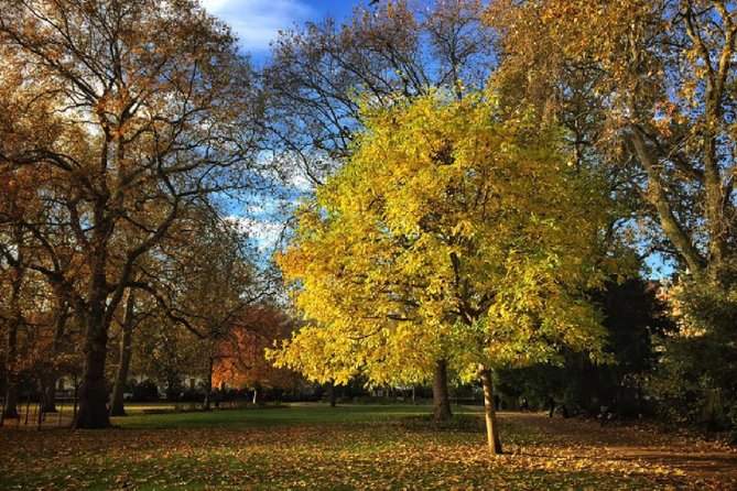 London Literary Private Walking Tour Of Bloomsbury - Bedford Square and the Pre-Raphaelite connection
